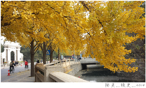 大发彩票平台