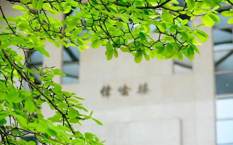 大发彩票平台