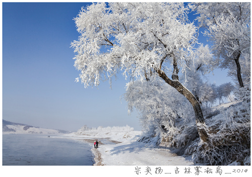 大发彩票平台