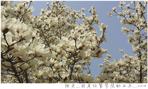 大发彩票平台