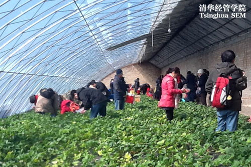 大发彩票平台