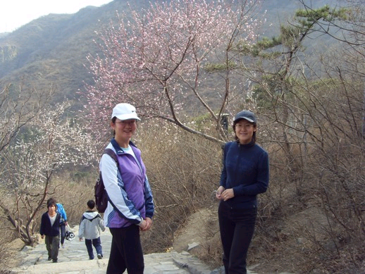 大发彩票平台