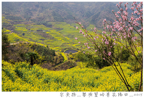 大发彩票平台