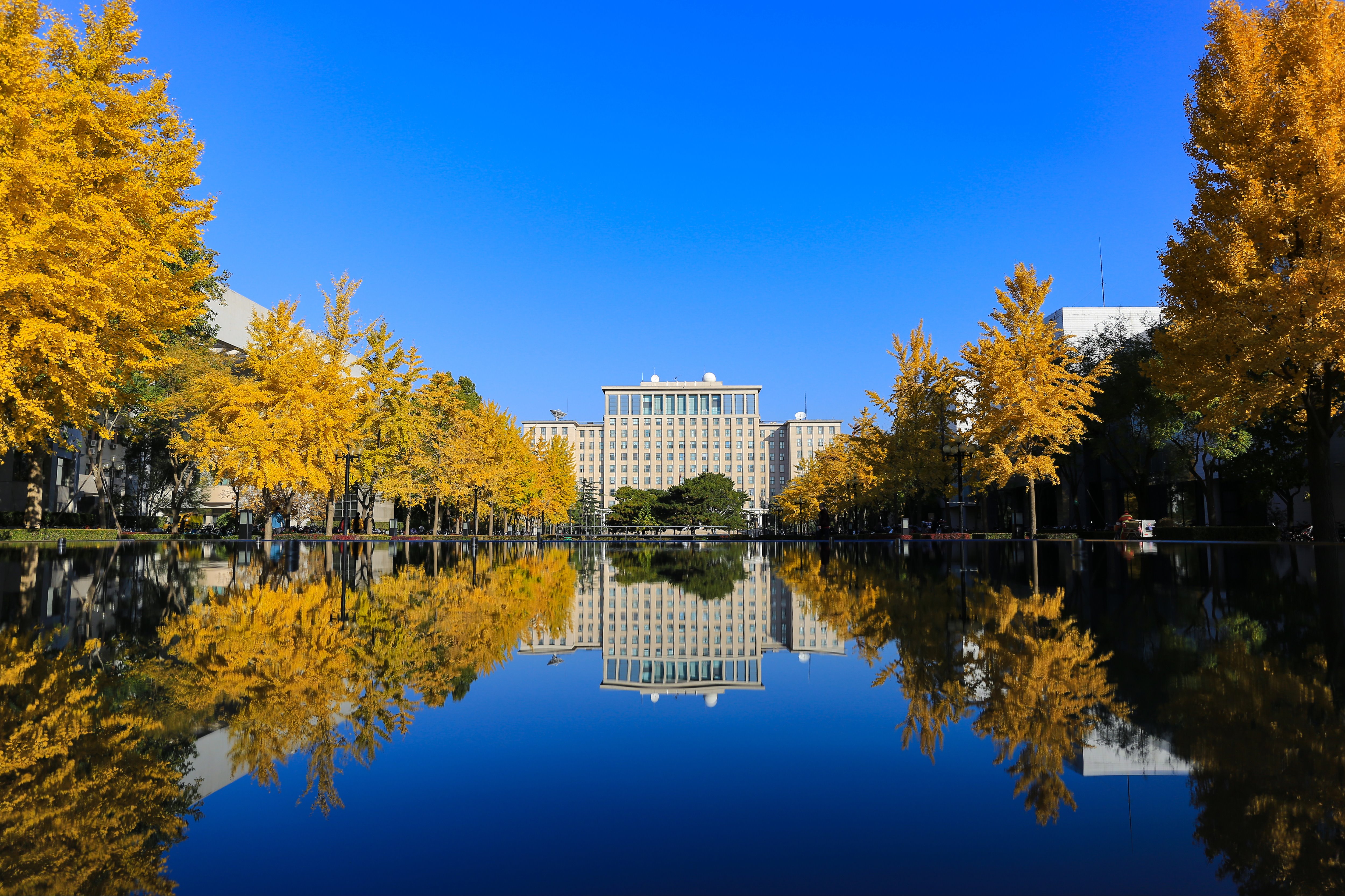 大发彩票平台