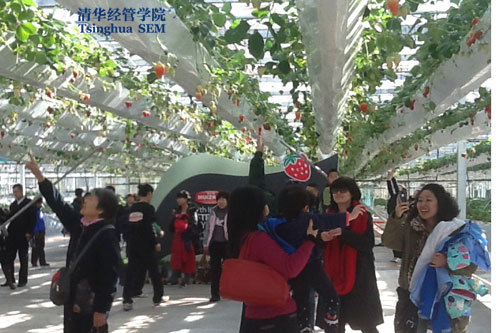 大发彩票平台