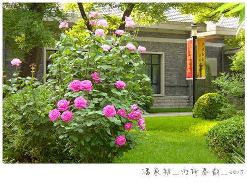 大发彩票平台