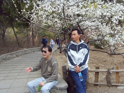 大发彩票平台