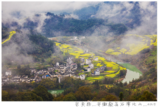 大发彩票平台